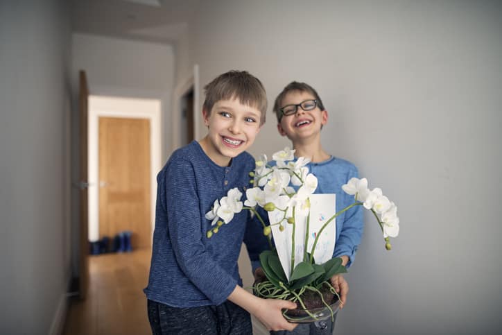 dwóch chłopców niesie kwiat w doniczce na prezent